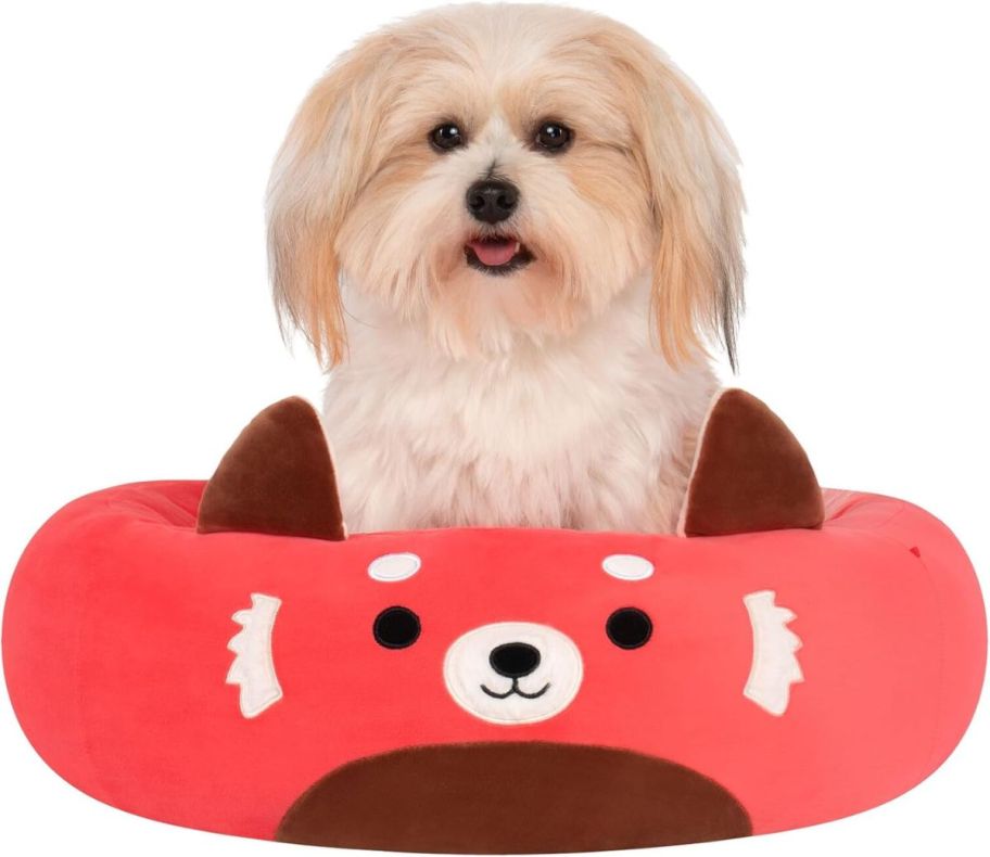 Cici red panda pet bed with a dog sitting in it