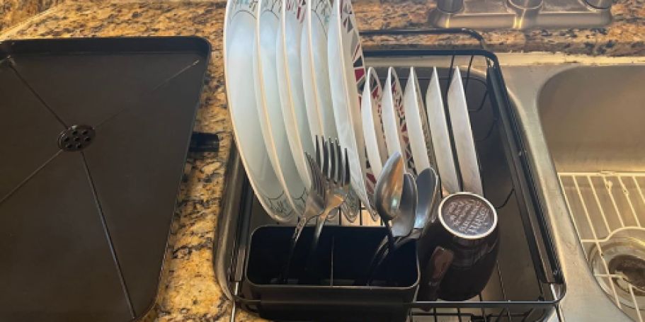 Dish Drainer Rack Only $9.99 Shipped for Amazon Prime Members