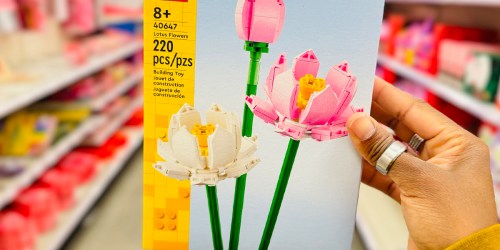 Up to 55% Off LEGO Flowers on Amazon