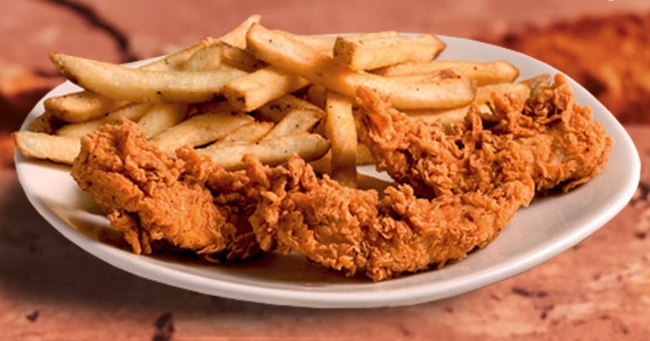 outback kids meal with chicken tenders and fries