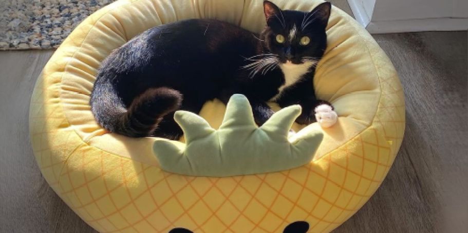 Squishmallows Pet Beds from $18 on Amazon (Reg. $45)
