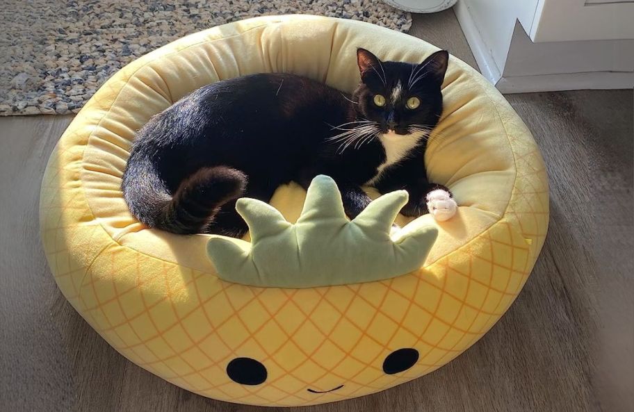 yellow pinapple squishmallows pet bed with a cat in it