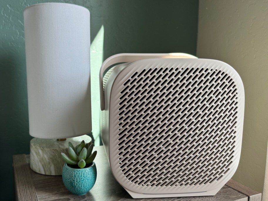 Air purifier displayed next to lamp and flower