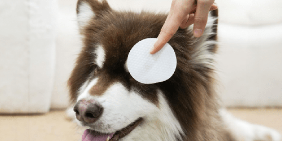 Pet Eye Wipes 100-Count Only $2.99 Shipped on Amazon (Reg. $20)