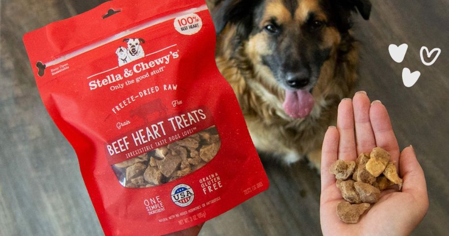 Hand holding a bag of Stella & Chewy Dog treats over a german shepherd with a handful of treats in the other hand