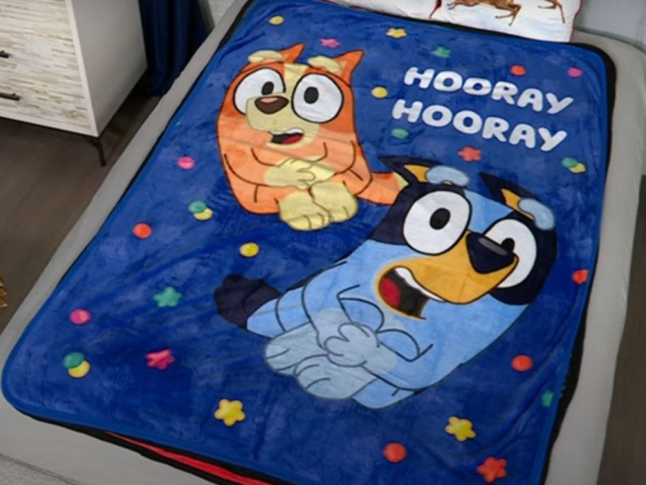 Northwest Silk Bluey Throw on bed