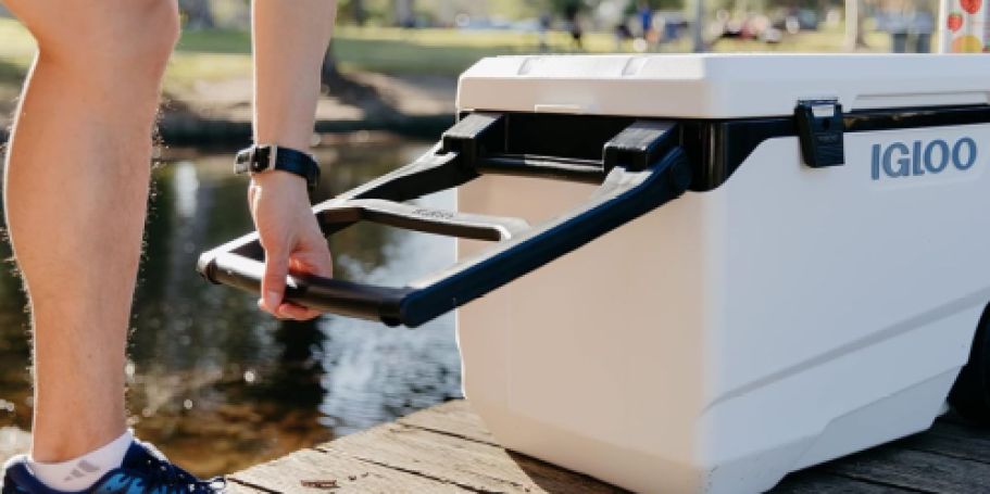Alert: Igloo Expands Recall to Nearly 1.2 Million Rolling Coolers — See If Yours Is Affected