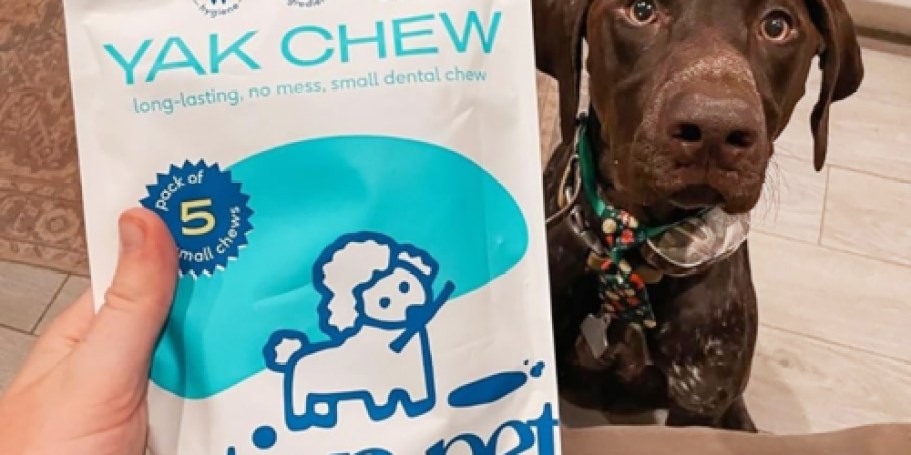 Native Pet Yak Dog Chews 5-Pack Only $9 Shipped on Amazon (Great for Teething Pups!)