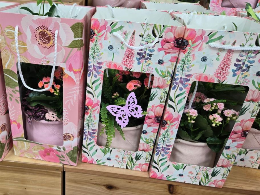 Garden Gift Bags on shelf in store