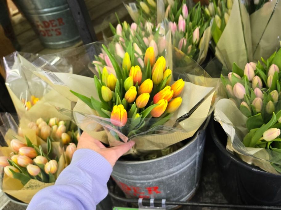 20-Stem Tulip bunch in hand in store