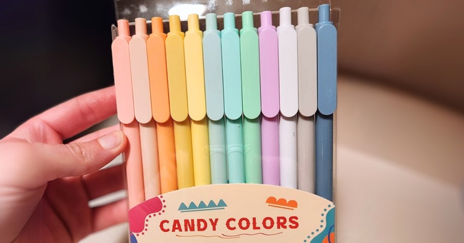 hand holding a 12 pack of pastel ink pens