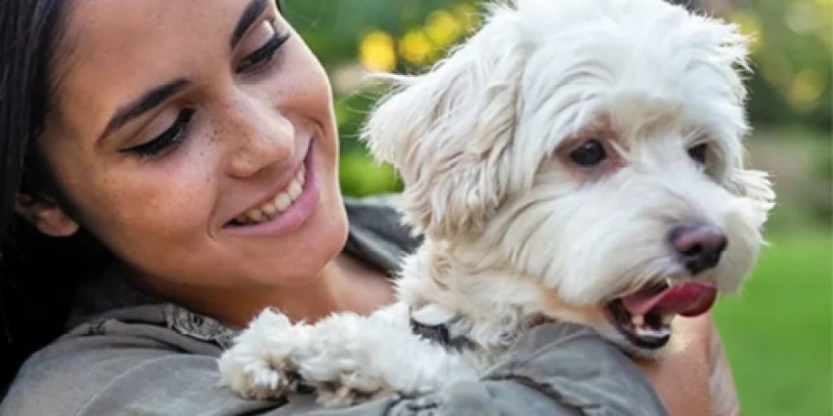 FREE Kinship LittleKin Puppy & Kitten Packs ($200 Value)