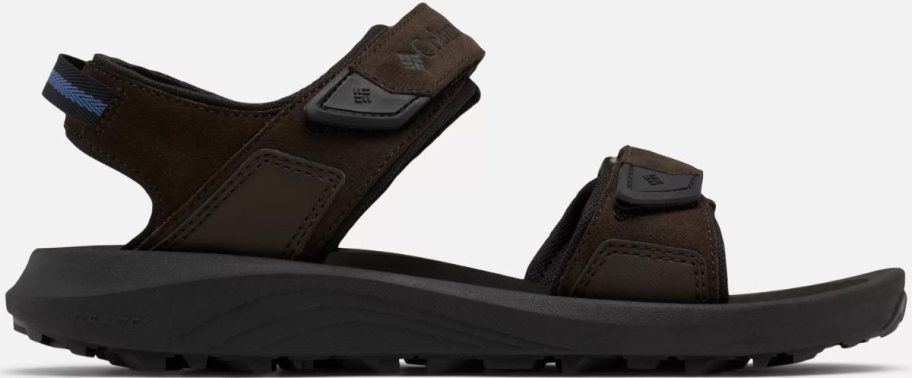 a mans two strap sandal