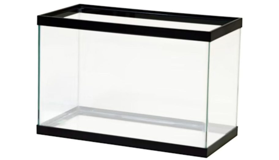 Aqueon Standard Open-Glass 10-gallon Aquarium Tank