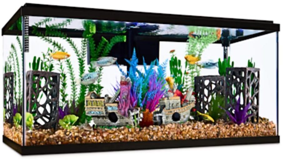 Imagitarium Black Breeder Framed 40-gallon Glass Aquarium