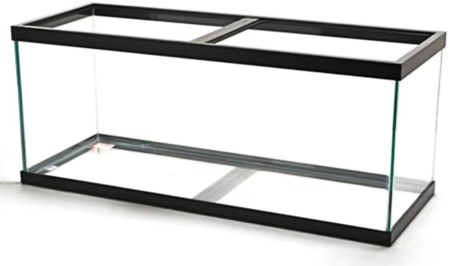 Aqueon Standard Open-Glass 55-gallon Aquarium Tank
