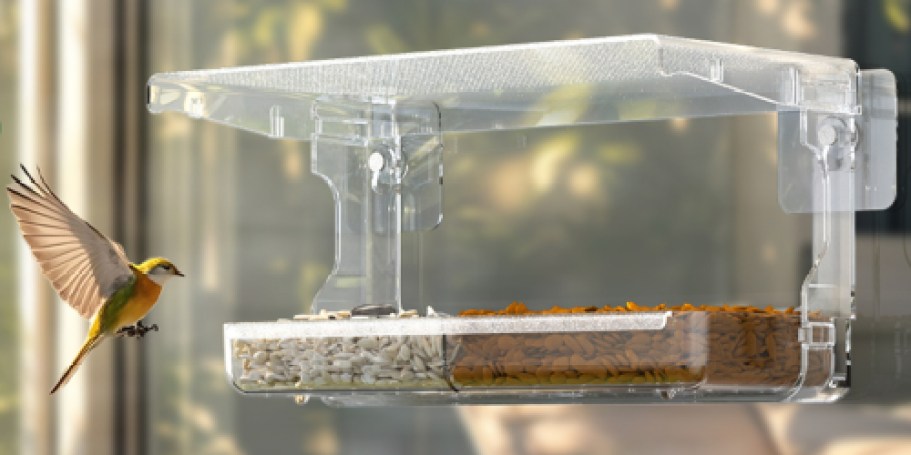Window Bird Feeder Only $4.49 Shipped for Amazon Prime Members (Reg. $12)