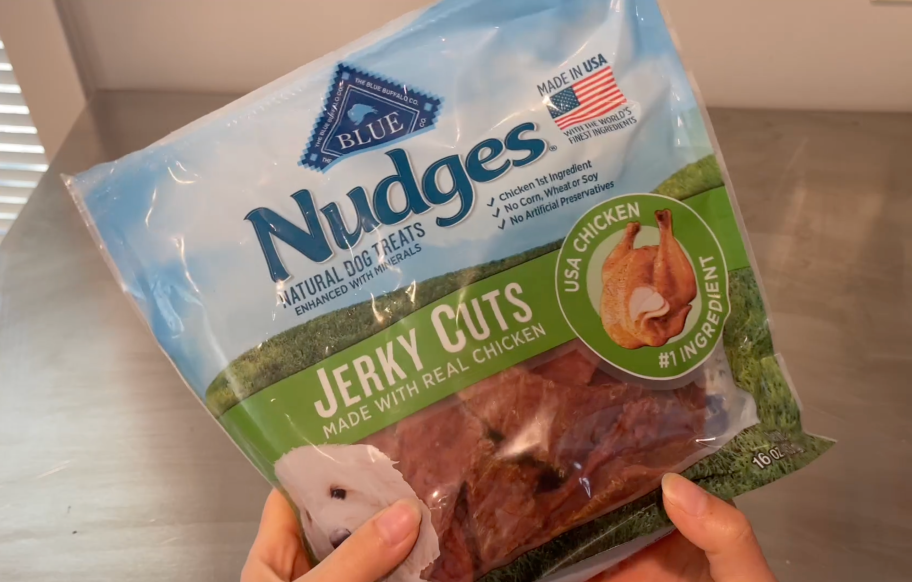Blue Buffalo Nudges Jerky Cuts Natural Dog Treats Chicken