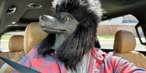 This Hilarious Dog Head Mask Is Under $20 on Amazon – Prepare to Confuse Everyone!