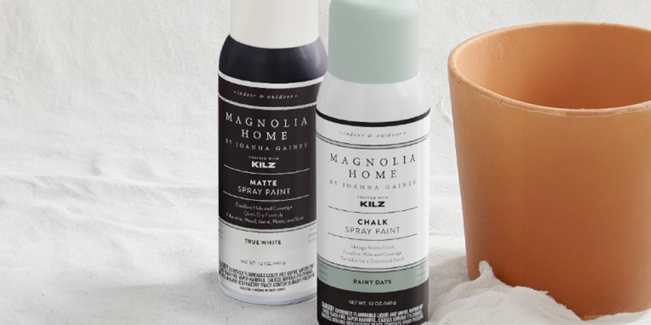two bottles of magnolia home spray paint next to pot 