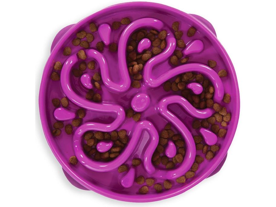 purple Outward Hound Large Feeder Slo Bowl stock image