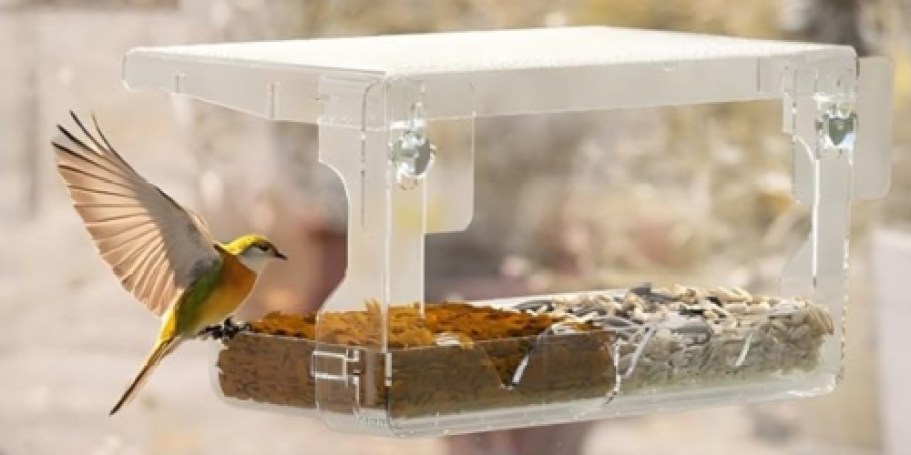 Window Bird Feeder Only $4.99 on Amazon (Reg. $12)
