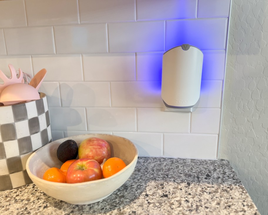 zevo fly trap with blue light plugged into wall near fruit bowl