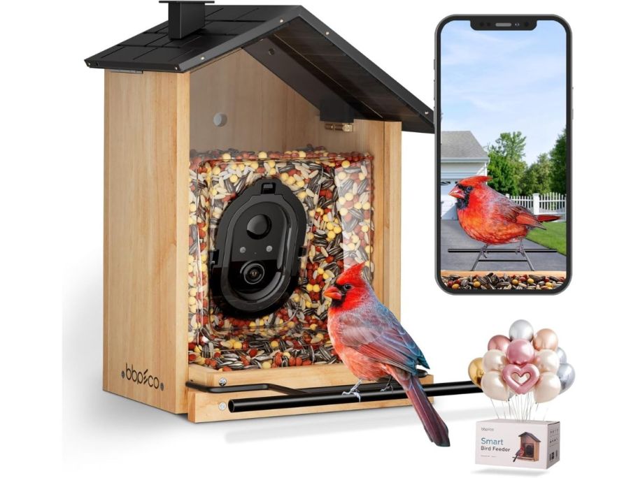 a bird sitting on a smart bird feeder