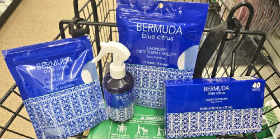 Capri Blue Vibes for $1.25? Try These Bermuda Blue Citrus Scents at Dollar Tree!