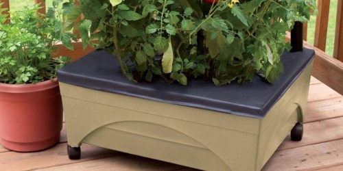 City Pickers Raised Garden Bed w/ Wheels Just $27.97 Shipped on HomeDepot.com (Today Only)