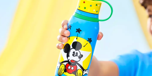 Up to 80% Off Disney Store + Rare Free Shipping | Water Bottles Only $7.98 Shipped!