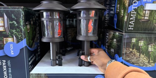 Solar Outdoor LED Lights Just $2.99 Each Delivered When You Buy 8 (May Sell Out!)