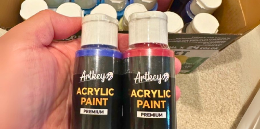 Acrylic Paint Set 24-Count Just $10.99 on Amazon (Regularly $22)