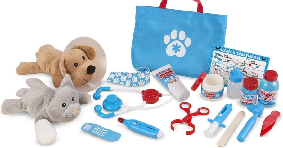 A Melissa & Doug Vet Pretend Play Set