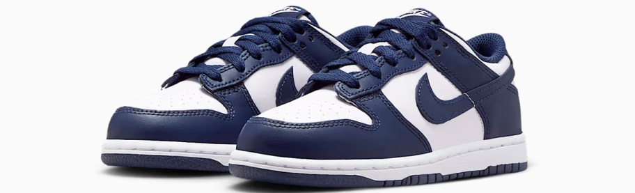 pair of navy blue and white nike sneakers