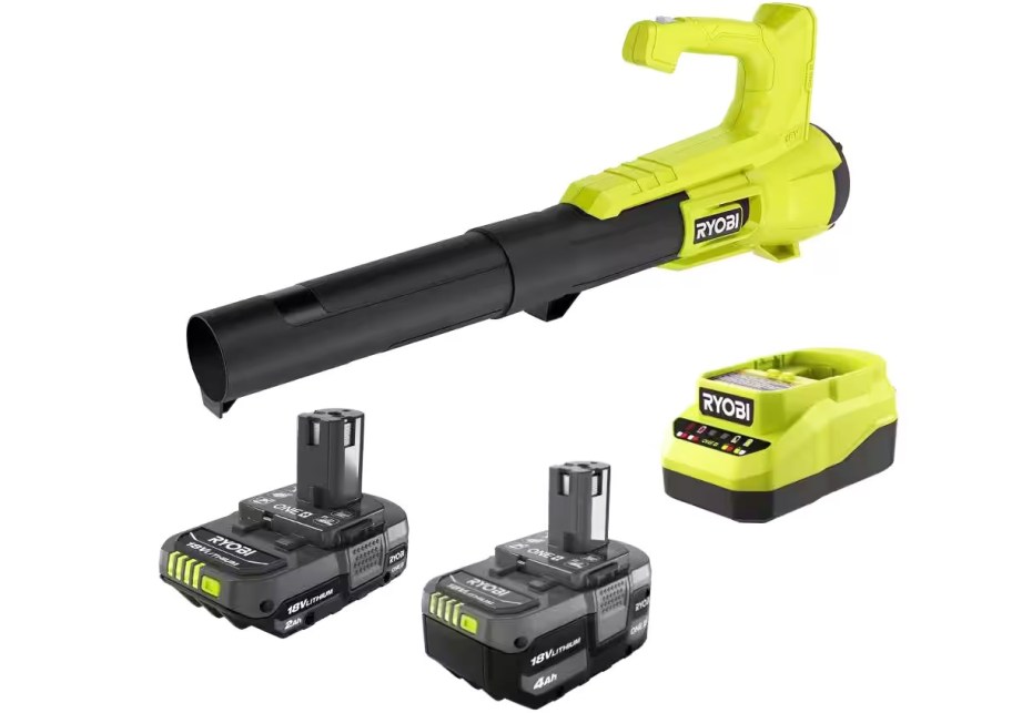 green leaf blower, two black batteries, and a charger