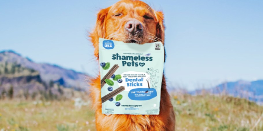 Shameless Pets Dog Dental Sticks Only $3 Shipped on Amazon (Reg. $8)