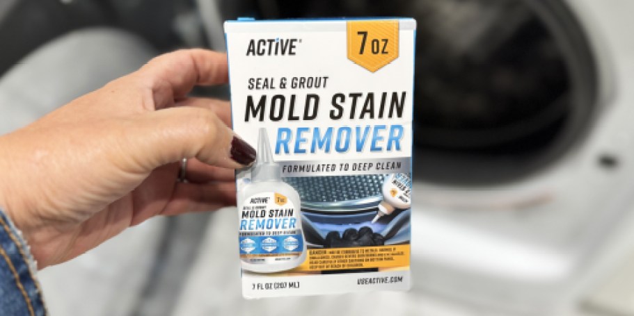 Active Mold Stain Remover Only $9 Shipped on Amazon (Regularly $17)