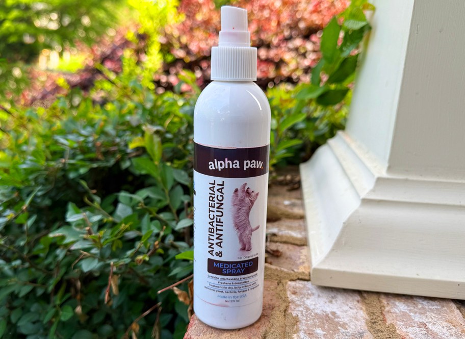 bottle of medicated dog itch spray in front of greenery