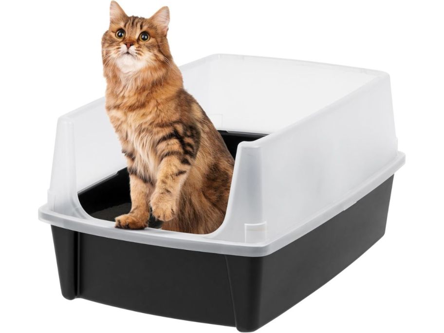 IRIS USA XX-Large Cat Litter Box stock image