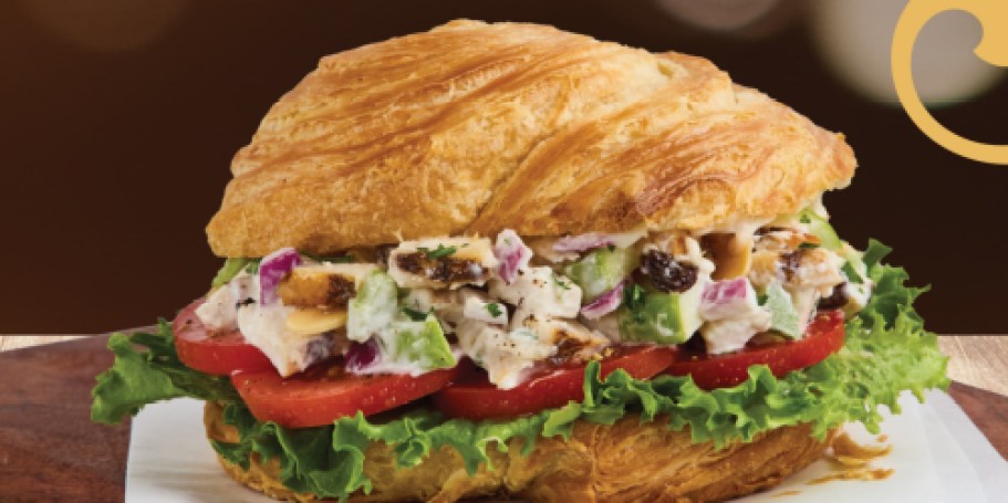 FREE Corner Bakery Cafe Meal for Administrative Professionals – Today ONLY