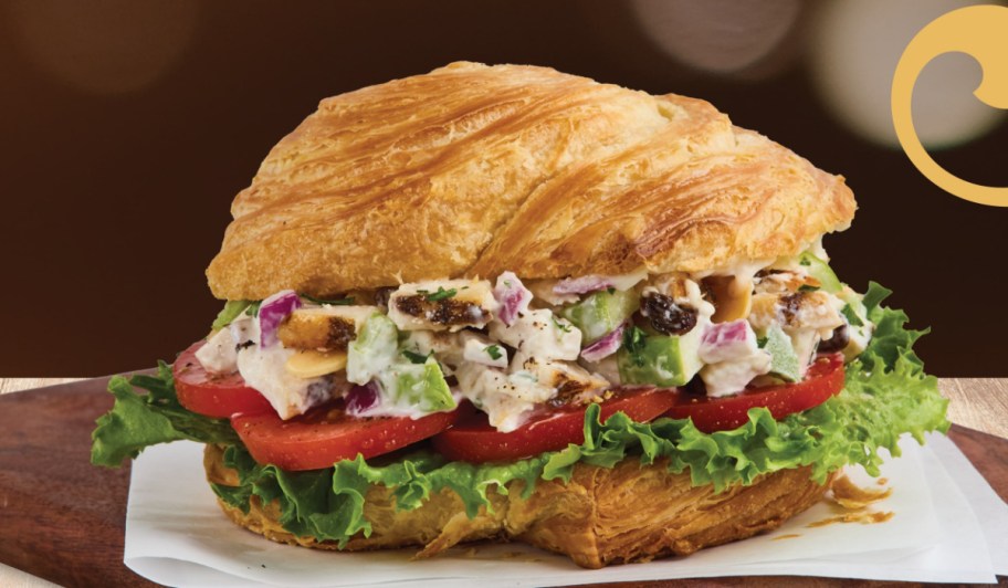 chicken salad sandwich