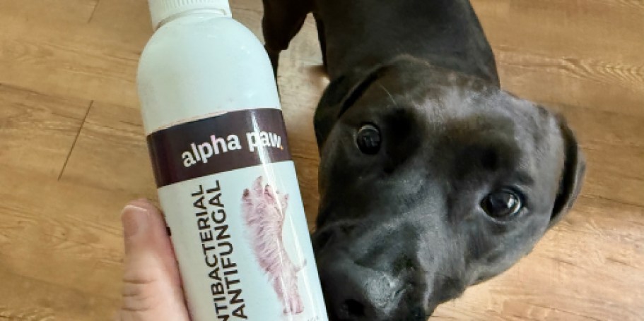 Medicated Spray for Dogs & Cats Just $8.53 Shipped on Amazon | Soothes Irritated, Itchy Skin
