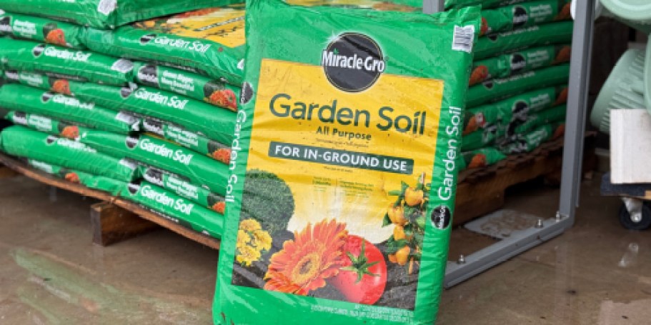 Miracle-Gro All Purpose Garden Soil Only $2 at Home Depot (Perfect for Spring Planting!)