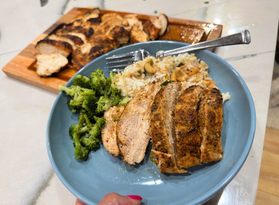 plate with rice, sliced chicken, and broccoli (1)