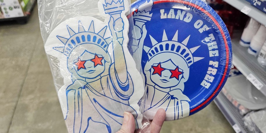 hand holding 4th of july plates and napkins