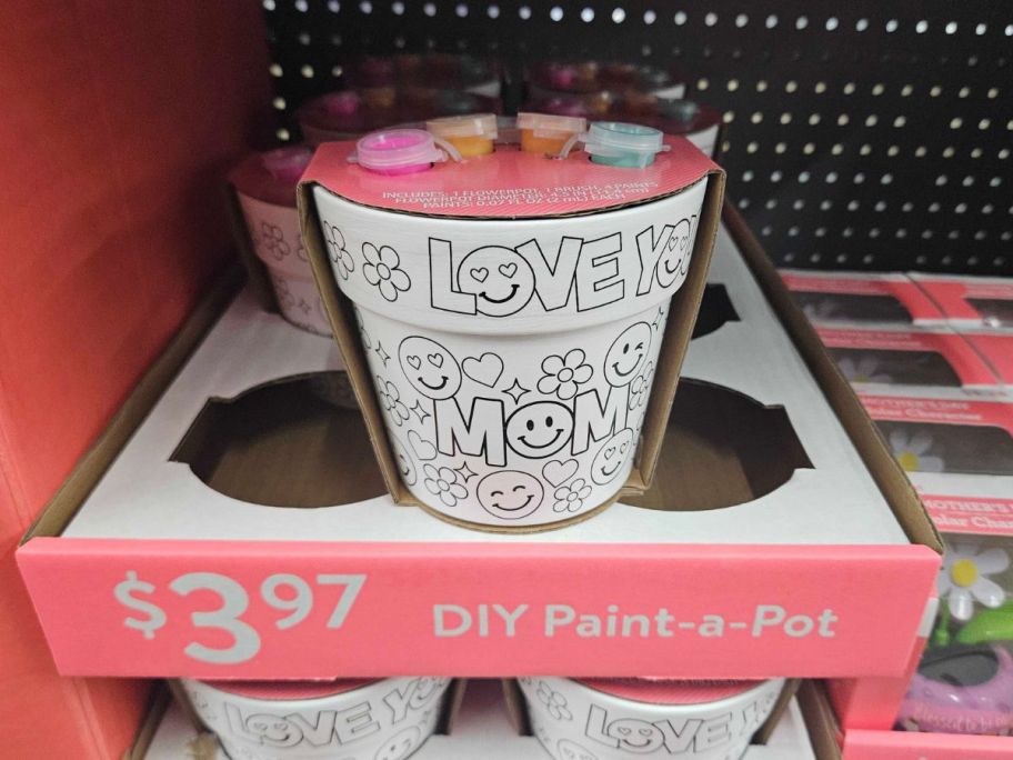 white and black Way To Celebrate DIY Paint-A-Pot on display on shelf in store