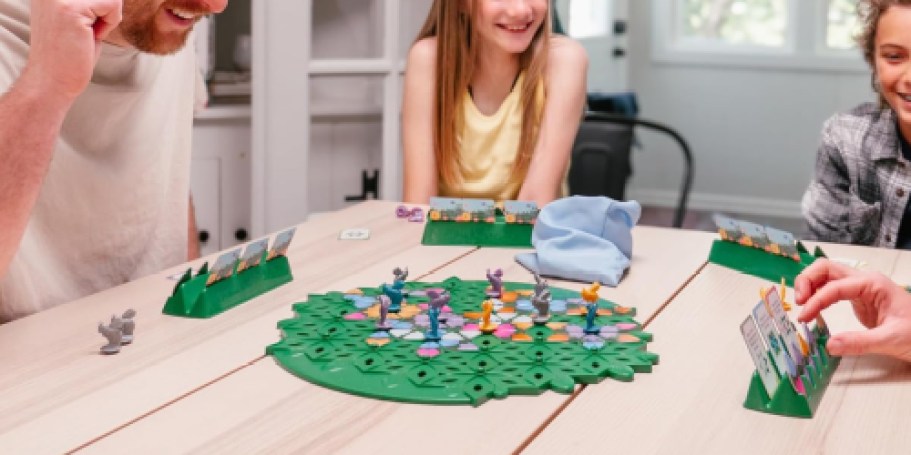 Wild Flowers Strategy Game Only $8.96 on Amazon (Reg. $15)