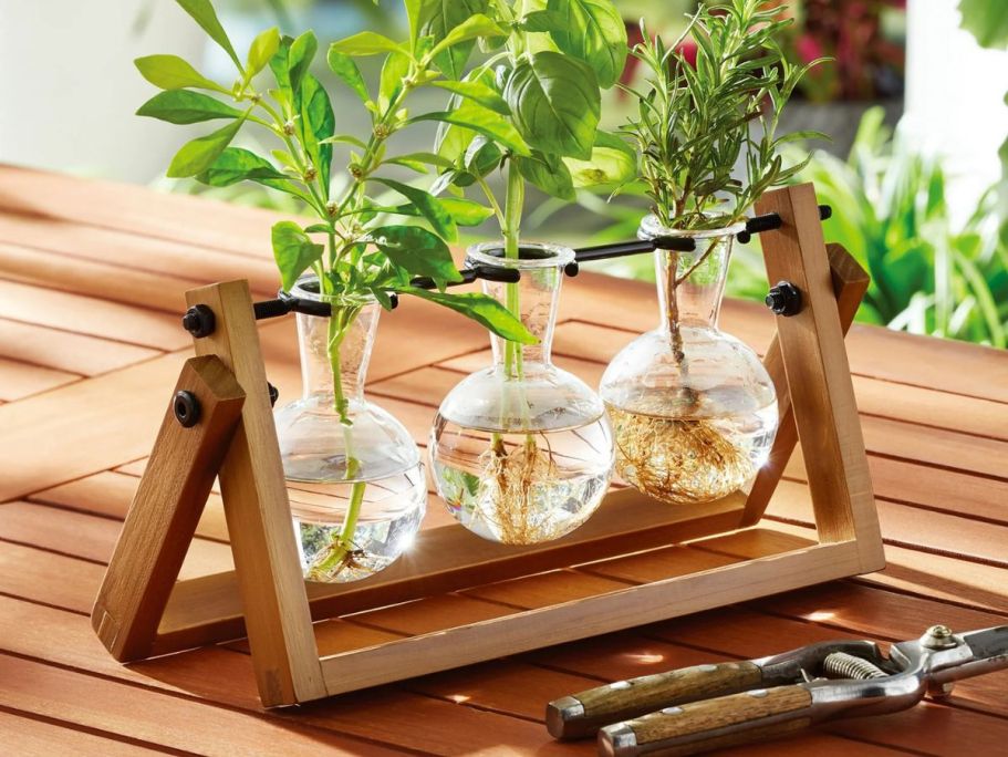 Up to 50% Off Propagation Stations at Walmart.com