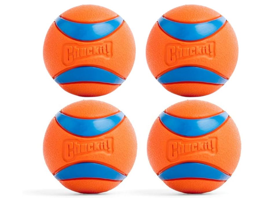Chuckit! Ultra Ball Dog Toy - Medium